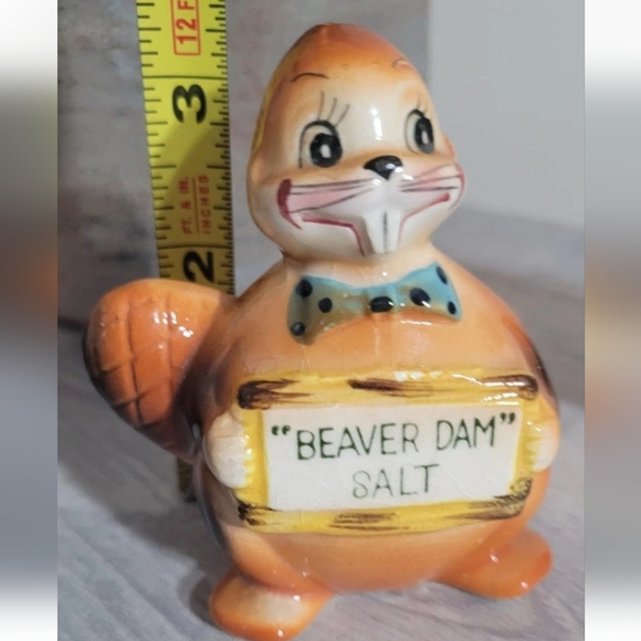 Vintage Salt and Pepper Beaver Dam Anthropomorphic Kitschy - Picture 3 of 4